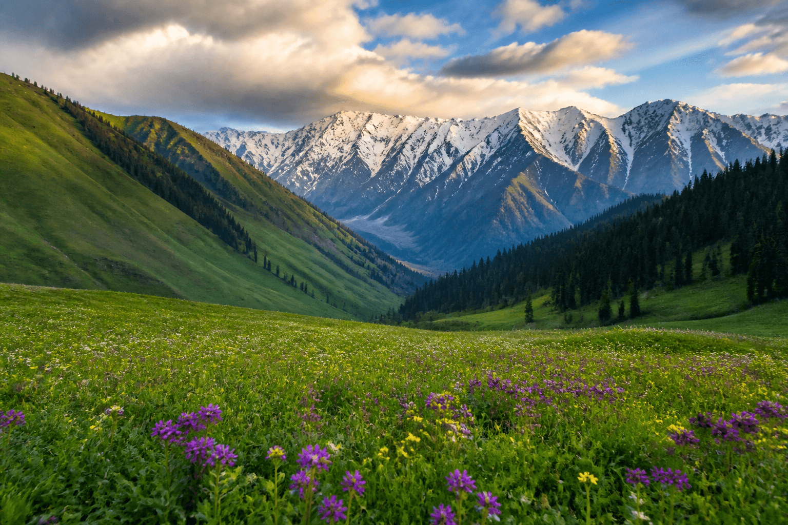 Kashmir Adventure Package 3N/4D — Snow Point (3★)