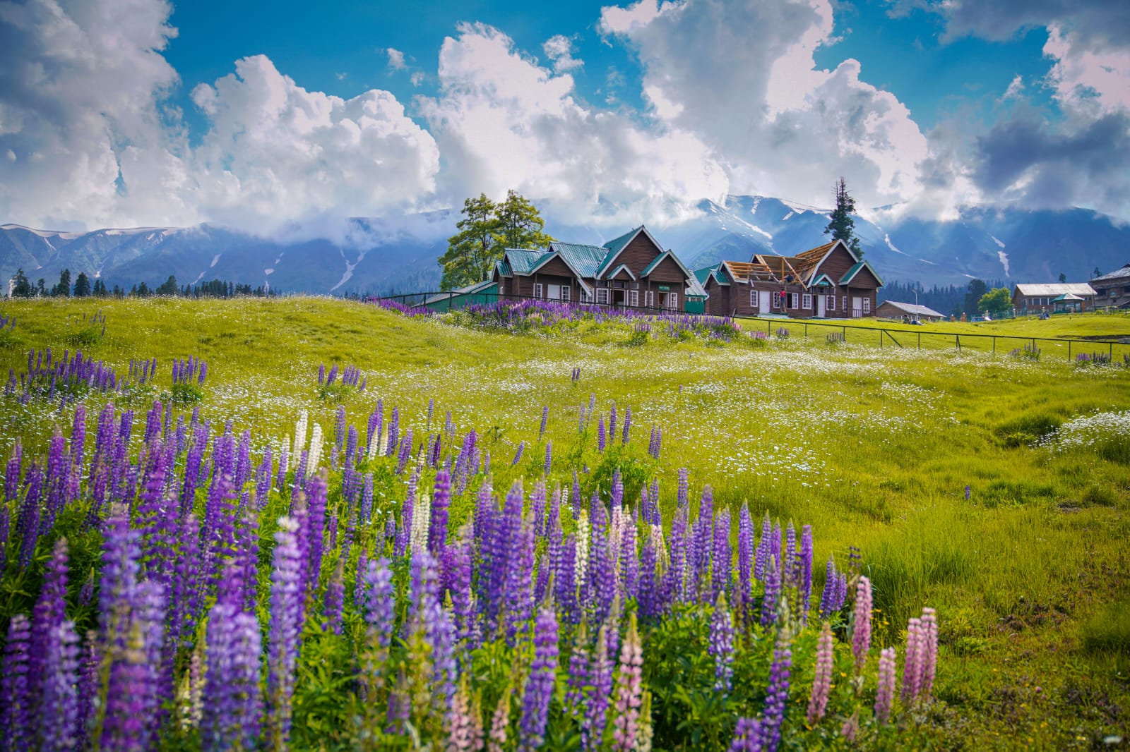 Kashmir Group Package 3N/4D — Team Outing (3★)