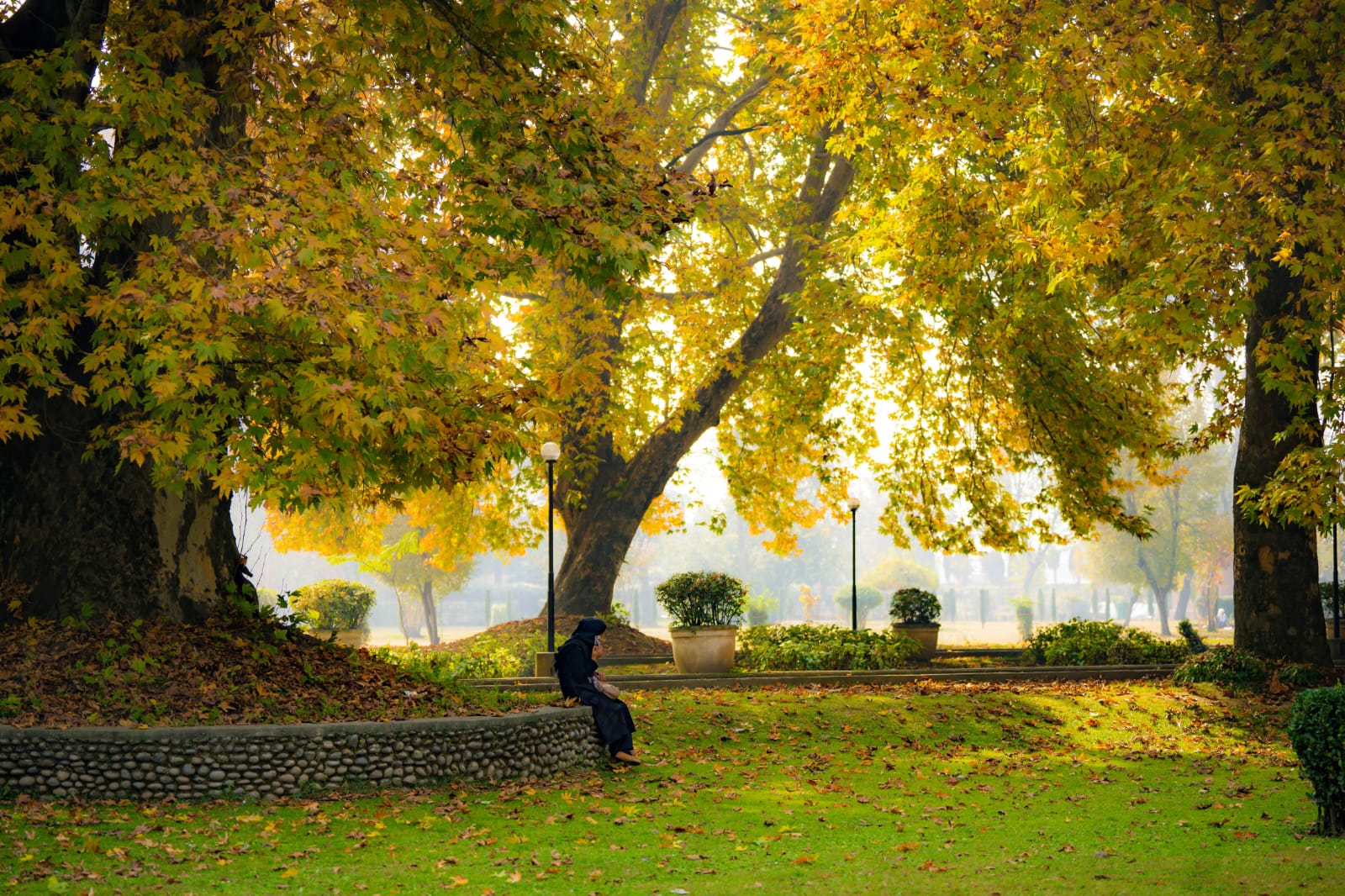 Kashmir Senior Citizen Package 2N/3D — Slow Travel (3★)
