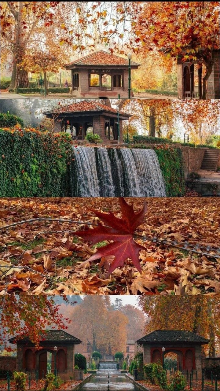 Autumn Charm Of Kashmir 3 Night / 4 Days | 3 Star Stay
