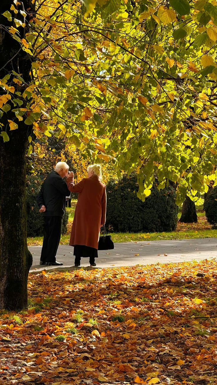 Kashmir Senior Citizen Package 2N/3D — Slow Travel (3★)
