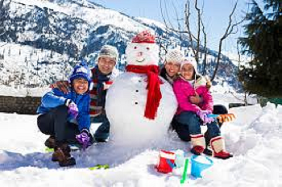 Kashmir family winter trip 2* (4n/5d)