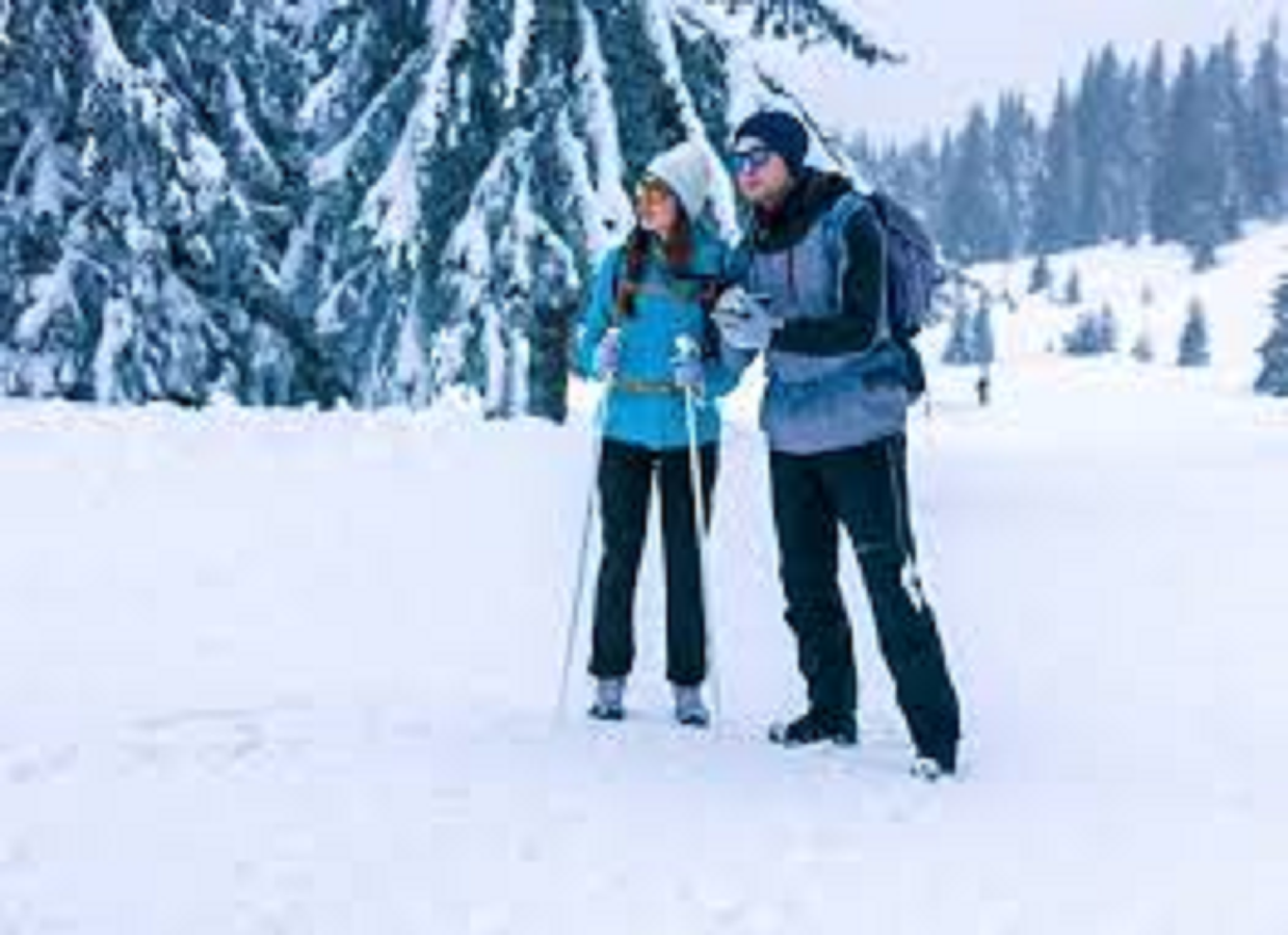 Kashmir winter HoneyMoon 2* (3n/4d)